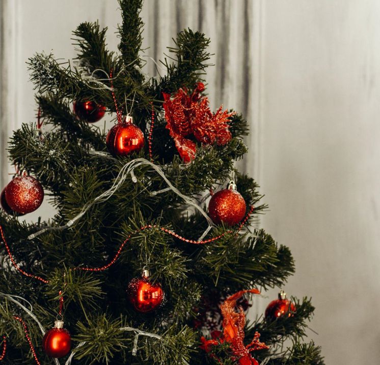 Make Your Christmas Tree Shopping Easy with These Tips